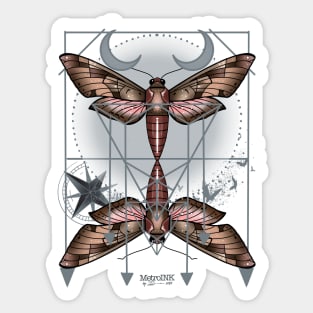 Geometric Moth Sticker